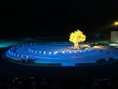 -鼎盛王朝康熙大典实景演出