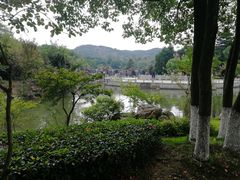-白马涧龙池景区