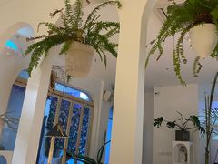 大堂-春树下·树屋花房西餐厅(罍街AS1980店)