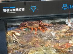 -盒马鲜生(曜一城店)