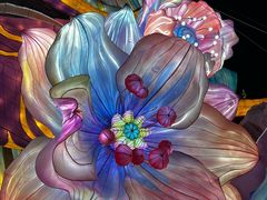 -淄博花灯齐彩城