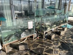 -镜泊湖聚仙楼鱼馆