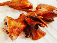 -东鸽皇(奥园·中环广场店)