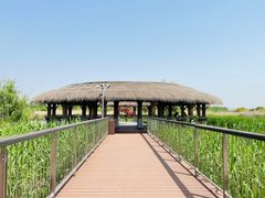 -下渚湖国家湿地公园科普馆
