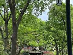 -杭州花家山庄