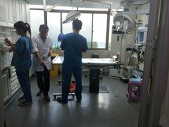 -安安宠医·安宠宠物医院