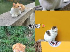 -西园寺