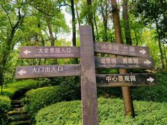 -南山植物园