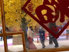 -宁波冰雪大世界(北仑区)