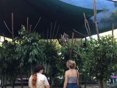 -可伦宾野生动物保护区