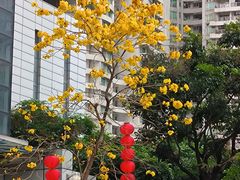 -晓港公园