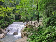 -西岭雪山大飞水景区