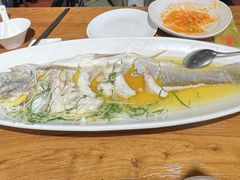 -金枝玉叶上海人家食府(三里河店)