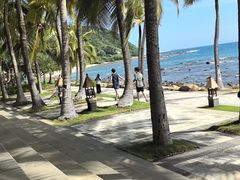 -日落吧·海景咖啡厅·餐酒吧·鸡尾酒·下午茶·乐队表演·浪漫夕阳·三亚文华东方酒店
