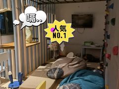 -the rug 飞毯 (朝阳公园店)