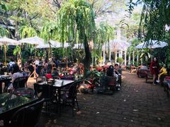 -Fern Forest Cafe