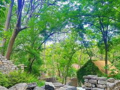 -井塘古村