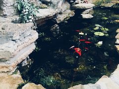 -江宁会馆(劈柴院店)