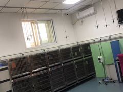-美联众合动物医院·内科·皮肤科·外科(古城分院)