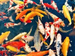 -金海华·华宴江南(斜塘店)