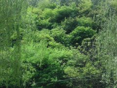 android_upload_pic-沕沕水生态风景区