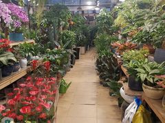 -双季花艺园艺市场(浦东店)