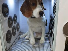 -PETKIT小佩宠物(昭化店)