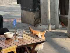 -Brut Eatery悦璞食堂(愚园路店)