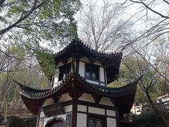 -上海佘山国家森林公园西佘山园