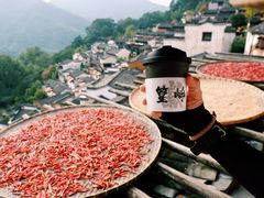 -篁岭景区