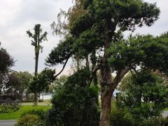 -杭州西湖柳莺里酒店·闻莺厅