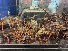 -渔洲情海鲜酒家