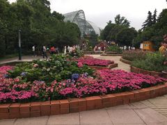 -南山植物园