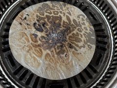 -江源道(龙源小区店)