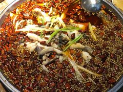 鱼火锅-小门坎三合鱼(总店)