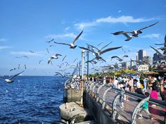 -东港音乐喷泉广场