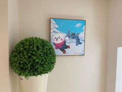 -咪咪比基尼脱毛专业店