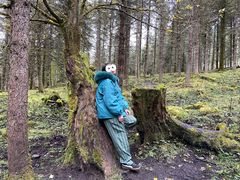 -硗碛藏寨·神木垒景区