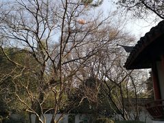-秋霞圃