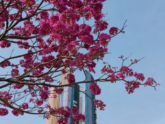 -白石龙音乐公园