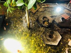 -衡山汇·高级粤菜(霄云路店)