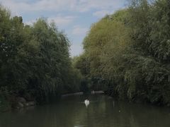 -洛阳市隋唐城遗址植物园