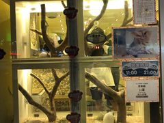 -龙猫仔乐园(惠福东路店)