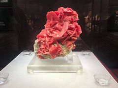 -湖南省地质博物馆