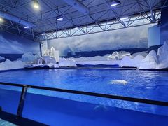 -秦皇岛乐岛海洋王国