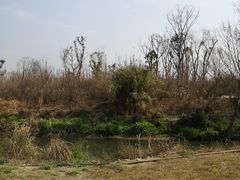 -白鹭湾湿地公园