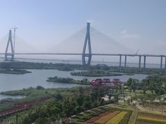 -芒洲湿地公园