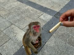 -重庆云阳龙缸景区