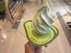 -油梨树AVOCADO TREE(嘉里中心店)