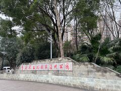 -重庆彩云湖湿地公园
